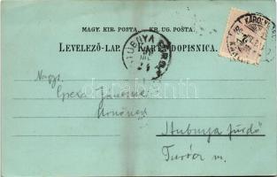 1899 (Vorläufer) Károlyváros, Karlovac, Karlstadt; Zorin Dom, Kuca Ivana Sagana. Naklada I. Sagana /...