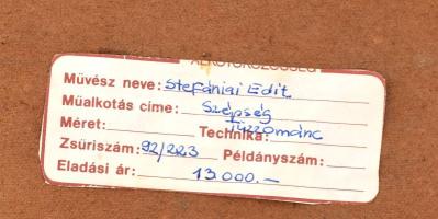 Stefániay Edit (1936 - ): Szépség. Tűzzománc kép fém lemezen, bőr keretben, jelzett a hátoldalon, 24...