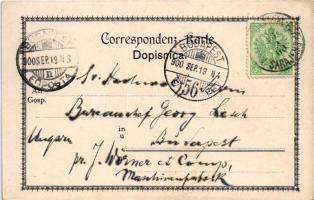 1900 Sarajevo, Gruss aus... Art Nouveau, floral, litho (EK)