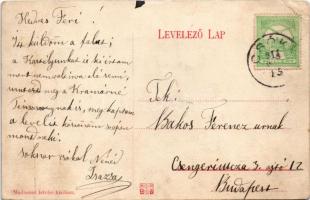 1911 Csóka, Coka (Torontál); Római katolikus és szerb templom, Urasági kastély, városháza, Madarász ...