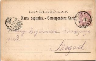 1899 (Vorläufer) Dálya, Dalja, Dalj (Erdőd, Erdut); Bahnhof / vasútállomás. Ottokar Rechnitzer kiadá...