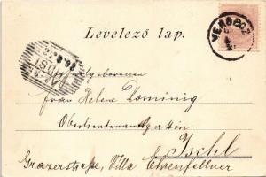 1898 (Vorläufer) Versec, Werschetz, Vrsac; J. E. Kirchner Art Nouveau, floral, litho