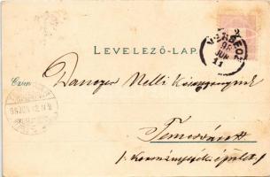 1898 (Vorläufer) Versec, Werschetz, Vrsac; Rezidensgasse, Weingebirge, Schlossbergruine, Rathhaus, R...