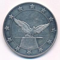 DN "25 ország - Magyarország / Rákóczi" jelzett Ag emlékérem (19,94g/0.999/39mm) T:AU (PP)