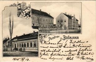 1905 Bosnyáki, Bosnjaki, Bosnjaci; Pozdrav iz Bosnjaka, Opcinsko Poglavarstvo, Kr. Kotarski sud, Pucka Ucivna / town hall, court. Art Nouveau, floral (EB)