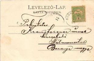 1905 Bosnyáki, Bosnjaki, Bosnjaci; Pozdrav iz Bosnjaka, Opcinsko Poglavarstvo, Kr. Kotarski sud, Puc...