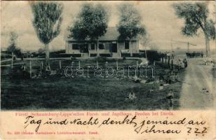 Újbezdán, Novi Bezdan bei Dárda; Fürstl. Schaumburg Lippe'sches Forst- und Jagdhaus / erdészeti és vadászház. Ottokar Rechnitzer / forestry and hunting house (Rb)