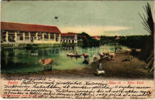 1907 Apatin, Ritter-tó. Gasz Mátyás kiadása / lake + "ESZÉK-SZEGED 162. SZ." vasúti mozgóposta (EK)