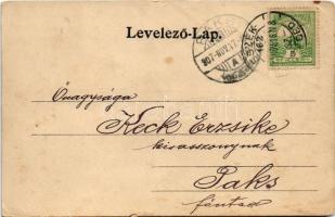 1907 Apatin, Ritter-tó. Gasz Mátyás kiadása / lake + "ESZÉK-SZEGED 162. SZ." vasúti mozgóp...