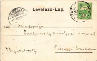 1907 Apatin, Halbárkák, halász bárkák. Gasz Mátyás kiadása / fishing boats