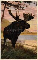 Moose. From Jennison's "Natural History - Animals" Series No. 83. s: Edgar H. Fisher ...