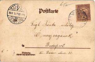 1901 Donkey and cat. Lith. u. Druck v. Wezel & Naumann Serie 81. 4. litho (EK)