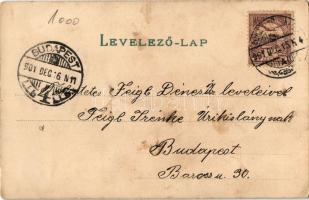 1901 Dogs. litho (EK)