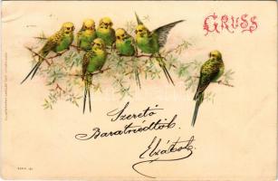 1899 (Vorläufer) Gruss... / Greeting art postcard with birds. Kunstverlag Emil Dotzert litho (EK)