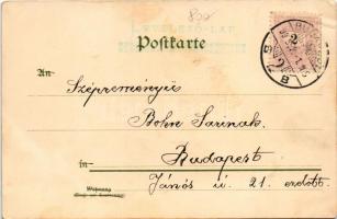 1899 (Vorläufer) Gruss... / Greeting art postcard with birds. Kunstverlag Emil Dotzert litho (EK)