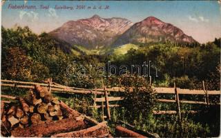 1916 Fieberbrunn (Tirol), Spielberg / general view. Verlag von Christine Schwaiger (tear)