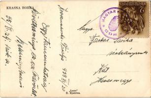 1938 Krasznahorkaváralja, Krásnohorské Podhradie; Gróf Andrássy Dénesné hű kutyájának síremléke, Tas...