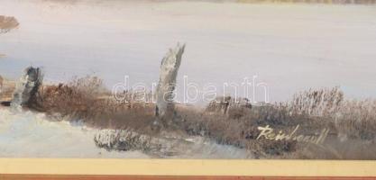 Reinhardt István (1936-): Tópart (Balaton?). Olaj, farost, jelzett, hátoldalán autográf felirattal. ...