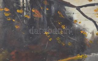 Jelzés nélkül: Őszi vízpart. Olaj, farost. Dekoratív fakeretben, 55x80 cm