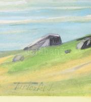 Turiczki jelzéssel: Őszi vízpart. Akvarell, papír. Kartonra kasírozva. 43x30 cm