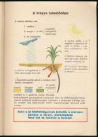 1935 Becsüld meg a trágyát! Tudnivalók az istállótárgya helyes kezeléséről, a "Jó Gazda" Ö...