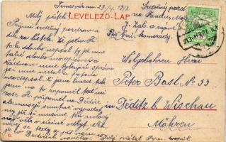 1913 Temesvár, Timisoara; Hunyadi kastély, Hess és Társa üzlete, Weismayr Ferenc, Gonda, Parisi Nagy...