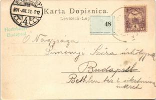 1901 Crikvenica, Cirkvenica; Hotel Nadvojvodi Josipu, Hotel Bedenk. Art Nouveau, floral