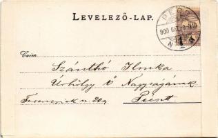 1900 Fiume, Rijeka; SS Sava, SS Pola. photo (gluemark) / Dr. Kenessey Aladár pécsi orvos levele fele...