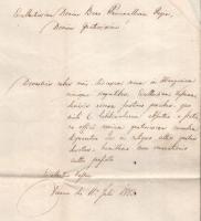 1843 Hivatal elhagyási engedély Bedekovich Lajos (1784-1854) alkancellár, főispán saját kezű aláírás...