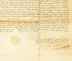 1725 egyházasarlói Vass Márton és leszármazói nemesi címének megerősítése és Borsod vármegye közönsé...