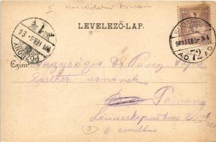 1901 Budapest I. Szent György tér, Honvédelmi Minisztérium. Divald Károly 195. (EK)