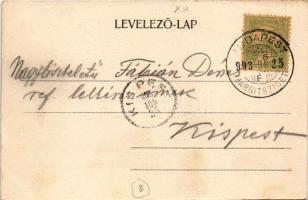 1903 Budapest XIII. Fedett sétány és kávéház a Margitszigeten. Komlós A. és társa 114. (fl)