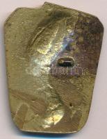 DN Nefertiti-t ábrázoló bronz jelvény (40x32mm) T:XF,VF a tű a hátoldaláról letört