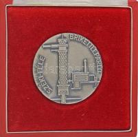 1979. "Dr. Széki János 1879-1979 / Széki-féle brikettpárló" ezüstpatinázott fém emlékérem,...