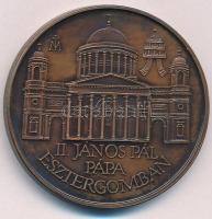 Fritz Mihály (1947-) 1991. "II. János Pál pápa Esztergomban" kétoldalas bronz emlékérem (4...