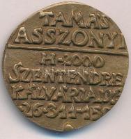 Asszonyi Tamás (1942-) DN "SZTENDREI RESP" bronz névjegyérem (~33mm) T:AU,XF