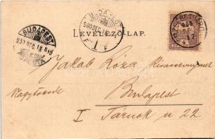 1900 Erzsébetváros, Dumbraveni; Állami gimnázium. Scholtes Albert kiadása / grammar school. Art Nouv...