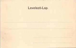 Lugos, Lugoj; M. kir. törvényház. Auspiz Adolf kiadása / court