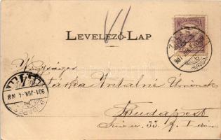 1901 Zilah, Zalau; Kossuth tér, piac. Seres Samu kiadása / square, market