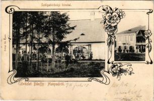 1911 Bánffyhunyad, Huedin; Szolgabírósági hivatal, Páskuj Márton üzlete. Dobay Pál kiadása / court, shop. Art Nouveau, floral (r)