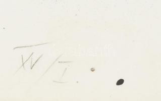 Kocsis Imre (1940-2015): Vadkan, 1984. Szitanyomat, papír, jelzett. XV/I. számozással. Lapszéli apró...