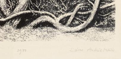 Sáros András Miklós (1945-): Öreg kert, 1988. Litográfia, papír, jelzett.Számozott (31/50). Üvegezet...