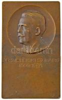 Telcs Ede (1872-1948) "Dr. Zielinski Szilárd 1860-1924" egyoldalas bronz emlékplakett (79x...