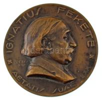 Telcs Ede (1872-1948) 1928. "Fekete Ignác gyógyszerész" egyoldalas bronz emlékérem (60mm) T:XF / Hungary 1928. "Ignatius Fekete pharmacist" one-sided bronze commemorative medallion. Sign.:Ede Telcs (1872-1948) (60mm) C:XF HP.: 6190.