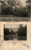 1917 Felsőbalog Vysny Blh (Vámosbalog, Nagybalog, Balogvár, Velky Blh); Coburg herceg kastélya. Szilágyi Arthur műintézetéből / castle, park