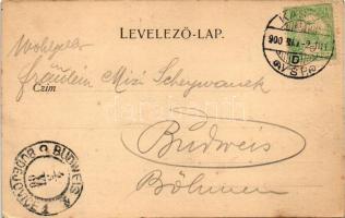 1900 Kassa, Kosice; Andrássy palota. Nyulászi Béla kiadása / palace (EK)