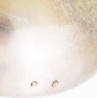 Orosz ezüst (Ag) merőkanál jelzett 207 g