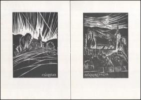 Molnár Dénes: Csíki vártemplomok. Erdély Album. [Marosvásárhely, 1993], Impress Kft., 1 sztl. lev.+ ...