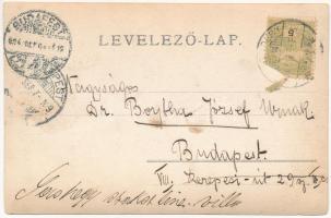 1904 Budapest XI. Sashegy, hölgyek nagy szélben. photo (fl)