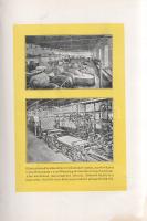 Freund Jenő: 
Papiros a grafikában - Papirosminták (melléklet).
Budapest, 1927. Világosság Könyvny...